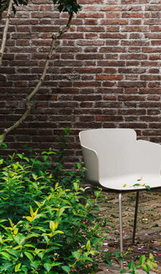 Outdoor Calla MIDJ